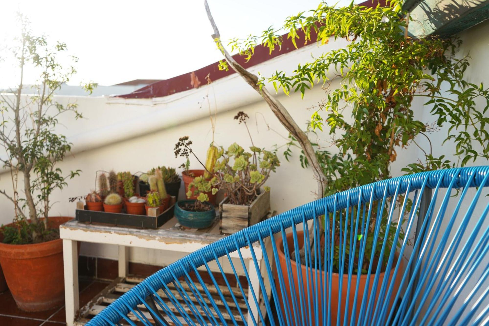 Vic Aveiro Arts House Hotel Ngoại thất bức ảnh